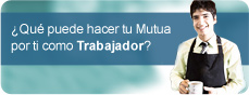 Ver PDF